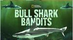 Watch Bull Shark Bandits Vumoo