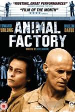 Watch Animal Factory Vumoo