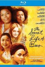 Watch The Secret Life of Bees Vumoo