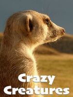 Watch Crazy Creatures Vumoo