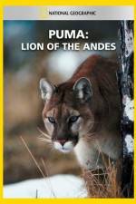 Watch National Geographic  Puma: Lion of the Andes Vumoo