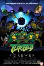 Watch Teenage Mutant Ninja Turtles Turtles Forever Vumoo
