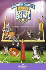 Watch Kitten Bowl II Vumoo