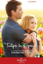 Watch Tulips in Spring Vumoo