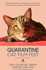 Watch Quarantine Cat Film Fest Vumoo