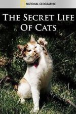 Watch The Secret Life of Cats Vumoo