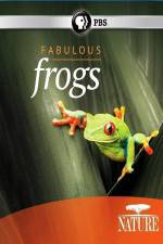 Watch Nature: Fabulous Frogs Vumoo