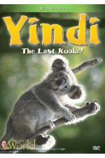 Watch Yindi the Last Koala Vumoo