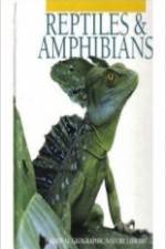 Watch Reptiles and Amphibians Vumoo