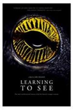 Watch Learning to See: The World of Insects Vumoo