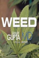 Watch CNN Weed Sanjay Gupta Report Vumoo
