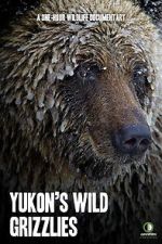 Watch Yukon\'s Wild Grizzlies Vumoo