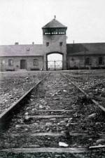 Watch AUSCHWITZ: FRENZIED KILLING Vumoo