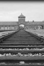 Watch AUSCHWITZ: ORDERS AND INITIATIVES Vumoo