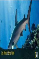 Watch National Geographic Wild - Lost Sharks of Easter Island Vumoo