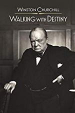 Watch Winston Churchill: Walking with Destiny Vumoo