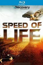 Watch Speed of Life Vumoo
