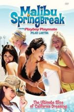 Watch Malibu Spring Break Vumoo