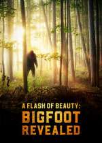 Watch A Flash of Beauty: Bigfoot Revealed Vumoo