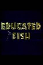 Watch Educated Fish Vumoo