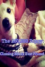 Watch The 60,000 Puppy: Cloning Man's Best Friend Vumoo