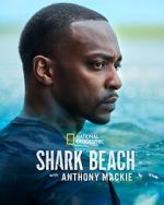Watch Shark Beach with Anthony Mackie Vumoo