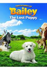 Watch Adventures of Bailey The Lost Puppy Vumoo