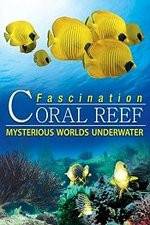 Watch Fascination Coral Reef: Mysterious Worlds Underwater Vumoo