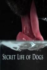 Watch Secret Life of Dog Vumoo