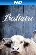 Watch Bestiaire Vumoo