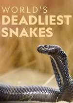 Watch World's Deadliest Snakes Vumoo