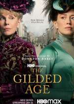 Watch The Gilded Age Vumoo