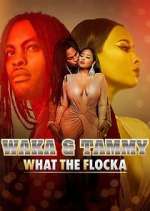 Watch Waka & Tammy: What the Flocka Vumoo