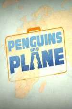 Watch Penguins on a Plane Vumoo