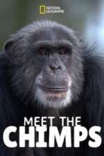 Watch Meet the Chimps Vumoo