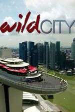 Watch Wild City Vumoo