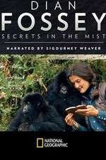 Watch Dian Fossey: Secrets in the Mist Vumoo