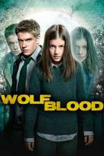 Watch Wolfblood Secrets Vumoo
