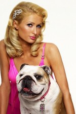 Watch Paris Hilton's British Best Friend Vumoo