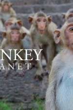 Watch Monkey Planet Vumoo