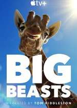 Watch Big Beasts Vumoo