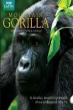 Watch Mountain Gorilla Vumoo