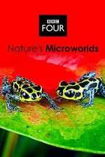 Watch Natures Microworlds Vumoo