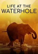 Watch Life at the Waterhole Vumoo