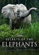 Watch Secrets of the Elephants Vumoo