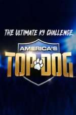 Watch America\'s Top Dog Vumoo