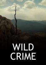 Watch Wild Crime Vumoo