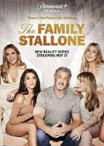 Watch The Family Stallone Vumoo