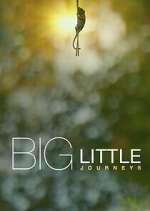 Watch Big Little Journeys Vumoo
