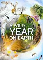 Watch A Wild Year on Earth Vumoo